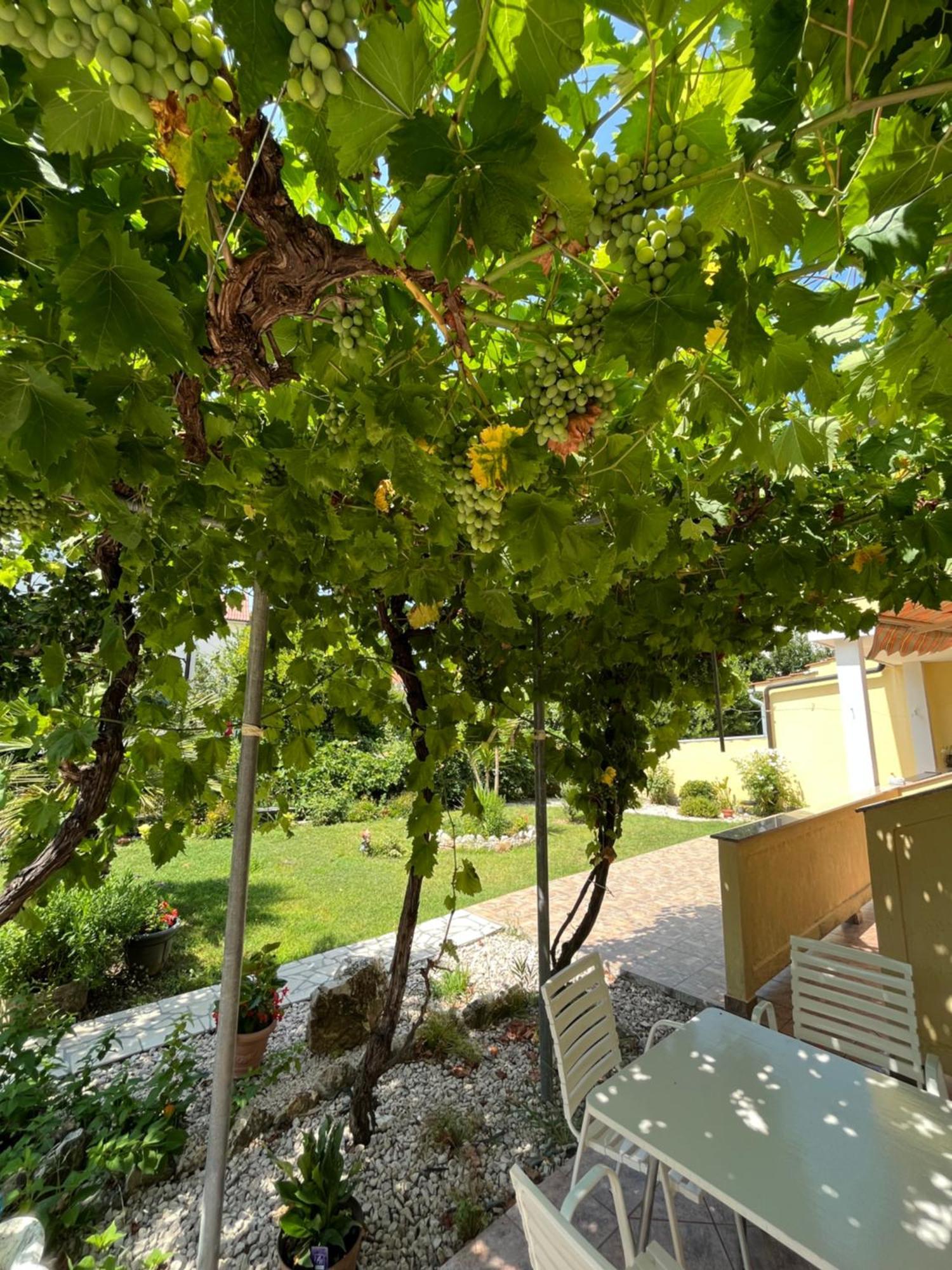 Apartments And Rooms Markovski Palit Exterior foto